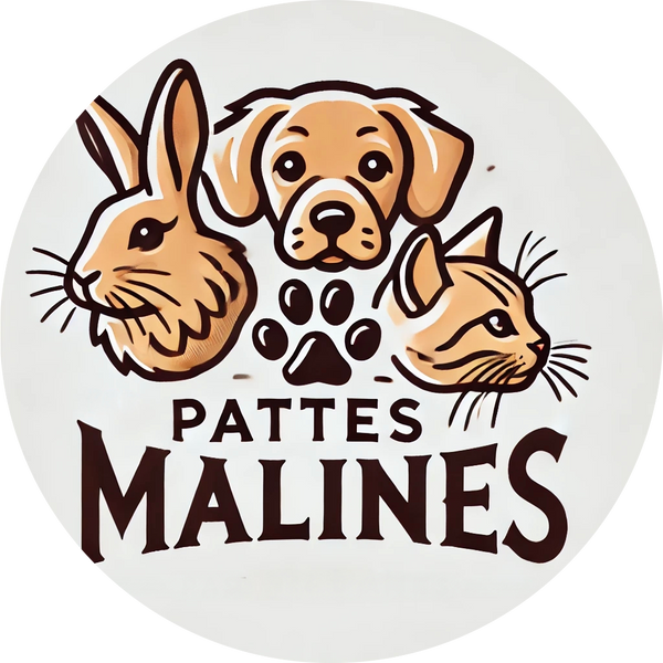 Pattes Malines